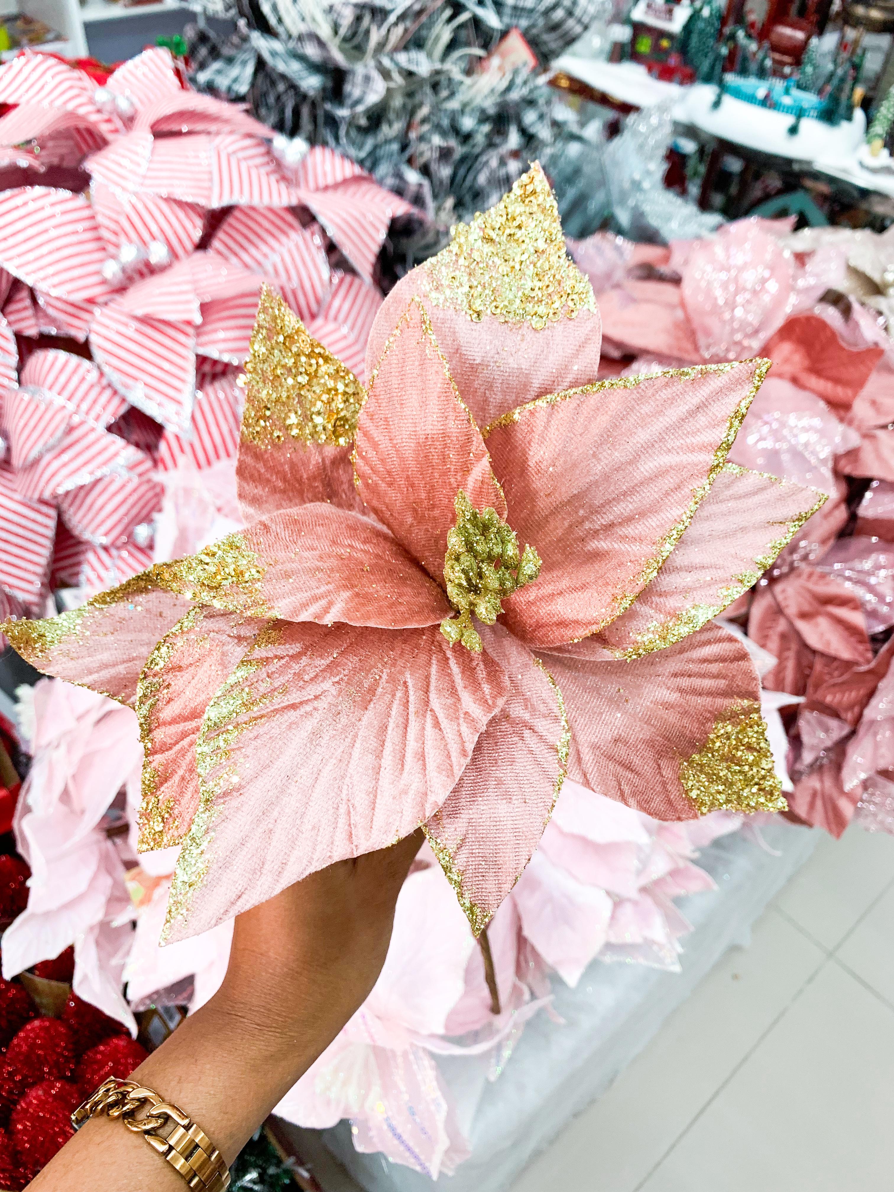 Pointsietta Stems