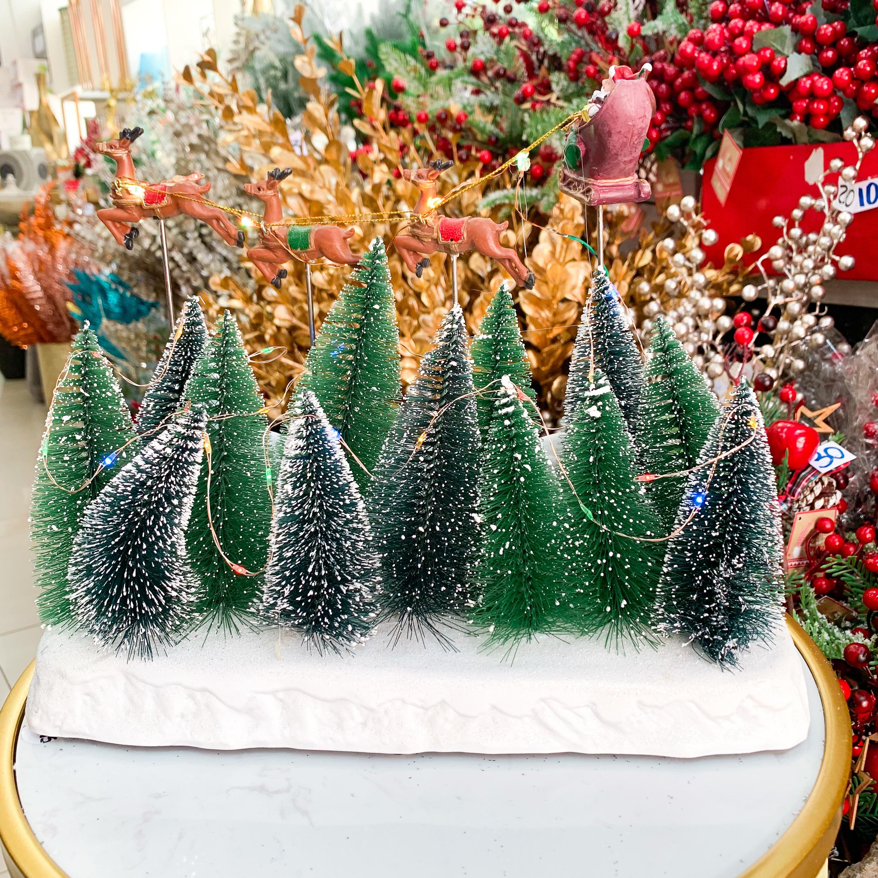 Christmas Tree Forest Scene
