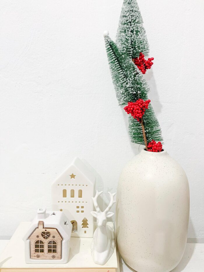 Christmas Trees on Long Stem